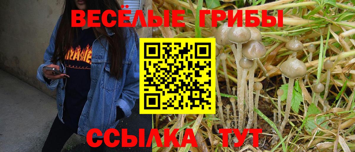 Галлюциногенные грибы мицелий  Вход с VPN  Трёхгорный 